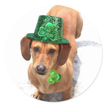 Kiss me I'm Irish Dachshund stickers by ritmoboxer Kiss me I'm Irish Dachshund stickers