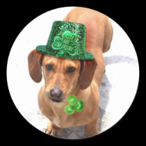 Kiss me I'm Irish Dachshund stickers