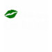 Ladies Twofer Sheer (Fitted)