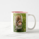 kiss me squirrel mugs