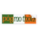 Kiss My Arse! (Gaelic) Bumper Sticker bumper stickers by irishcountry Kiss My Arse! (Gaelic) Bumper Sticker bumper stickers