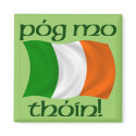 Kiss My Arse! (Irish Gaelic) Magnet
