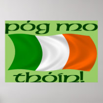 Kiss My Arse! (Irish Gaelic) Poster Print