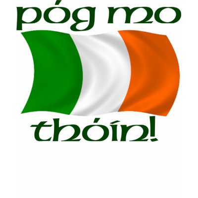 kiss_my_arse_irish_gaelic_tshirt-p235848971465459377ydmw_400.jpg