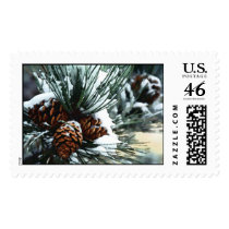 Kiss of Winter postage