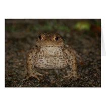 Kiss the Frog Card by pulsDesign Kiss the Frog Card