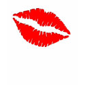 KISS t-shirts by DragonCat KISS t-shirts