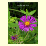 Kiss without a Hug... Greeting Cards cards