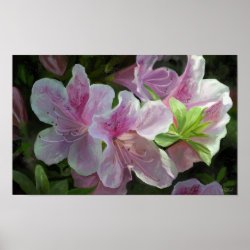 Kissed by Sunlight Print (<em>$14.00</em>)