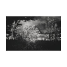 Kissed by the sun gallery wrap canvas