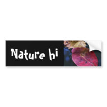 kissed & fell bumper stickers