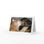 kisses! card