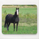 Kisses Mouse Pad mousepads