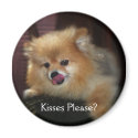 Kisses Please? Magnet