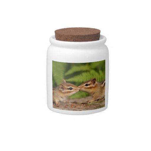 Kissing Baby Chipmunks Candy Dish