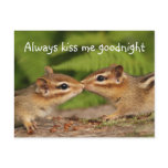Kissing Baby Chipmunks Postcard