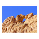 Kissing Camels Post Card