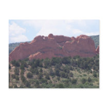 Kissing Camels postcards