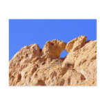 Kissing Camels Post Card