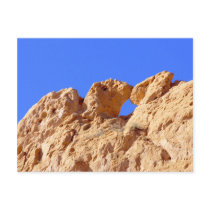 Kissing Camels Post Card