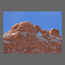 Kissing Camels posters