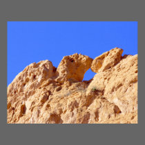 Kissing Camels posters