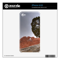 Kissing Camels Under Tree Decal For iPhone 4S