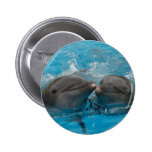 Kissing Dolphins Buttons