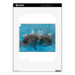 Kissing Dolphins skins