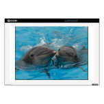 Kissing Dolphins skins