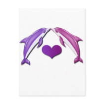 Kissing Dolphins Postcard