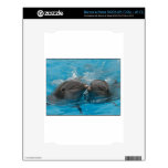 Kissing Dolphins skins
