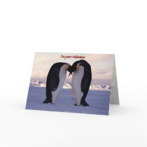 Kissing Emperor Penguin Valentine'... cards by PixDezines Kissing Emperor Penguin Valentine'... cards