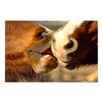 Kissing Horses posters by beverlytazangel Kissing Horses posters