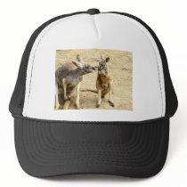 Kissing Kangaroos Trucker Hats
