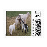 Kissing Kid v2 Stamp