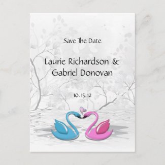 Kissing Love Swans Save The Date Post Card