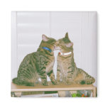 Kissing my brother magnet