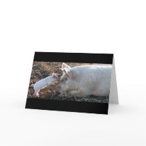 Kissing Piglet Greeting Card