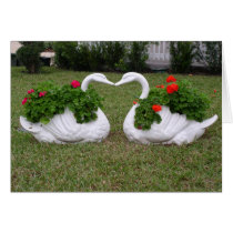 Kissing Swans cards by grammasue319 Kissing Swans cards