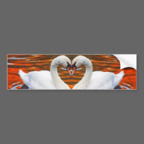 Kissing Swans in Love, Heart Shape Necks bumper stickers