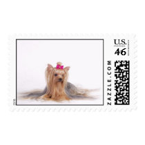 kisssosweet postage