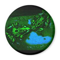 kissy frogs magnets