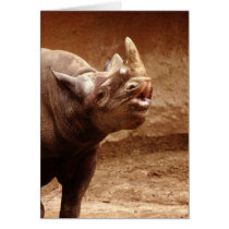 Kissy Kissy Cards