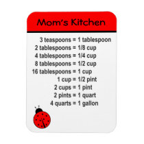 Kitchen Conversion magnets