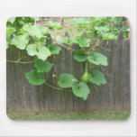 Kitchen Garden IV Mouse Mat