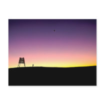 Kite Flyer Postcard