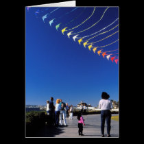Kite Flying cards