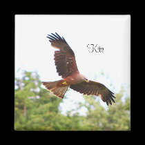 Kite in flight..... magnets