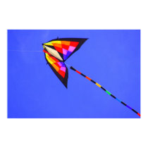 Kite Multi posters